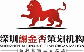 深圳謝金杏市場營銷策劃 精準(zhǔn)定位與創(chuàng)新驅(qū)動的品牌賦能之道